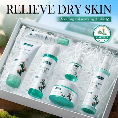 Cactus Soothing Repair Skincare 6-Piece Set